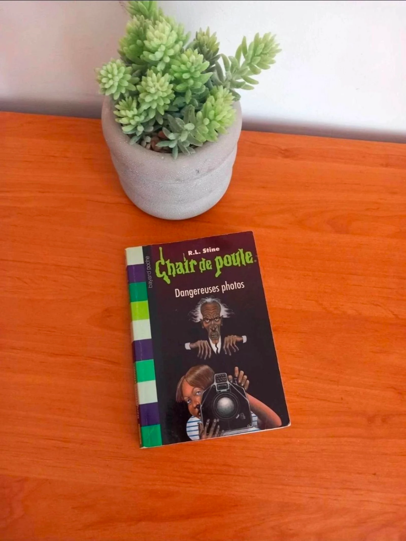 Livre chair de poule 